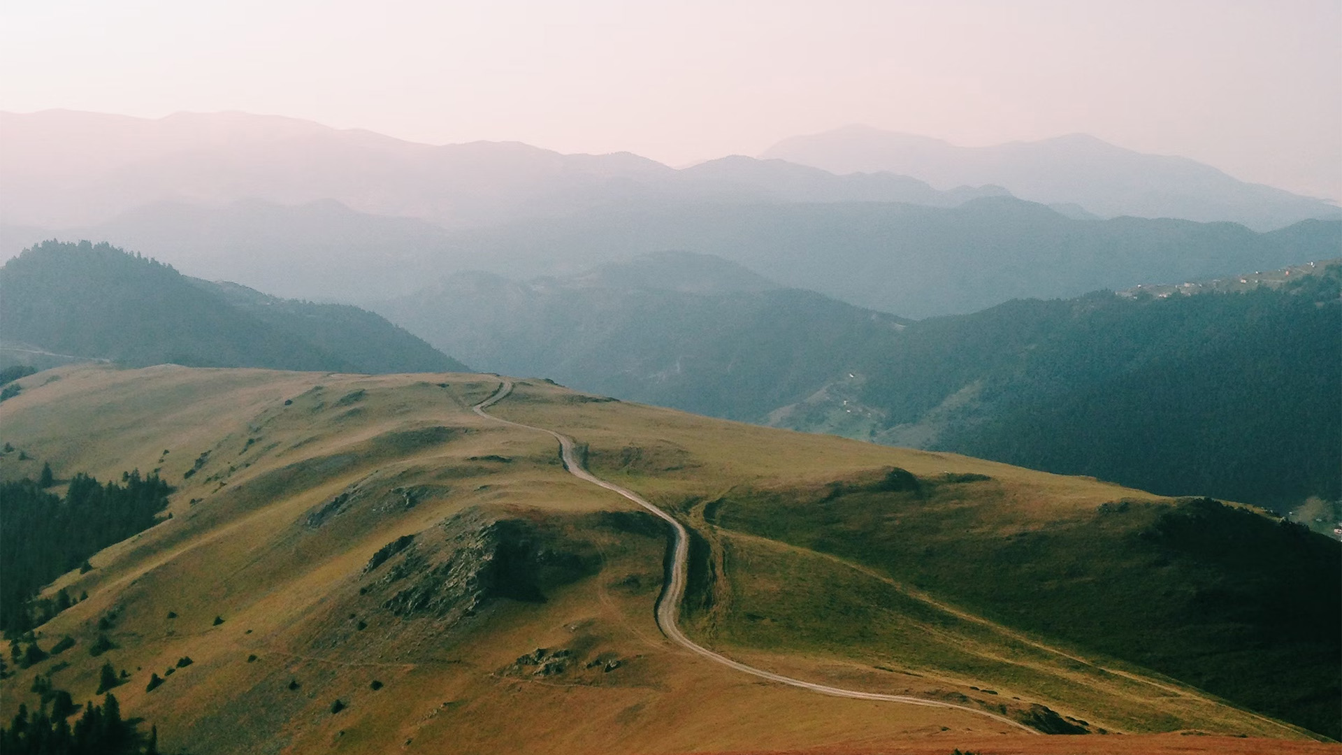 Don’t Frustrate Your Data Scientists (If You Want Them to Stay)